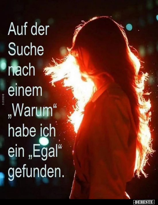 Auf der Suche nach einem "Warum".. - Lustige Bilder | DEBESTE.de