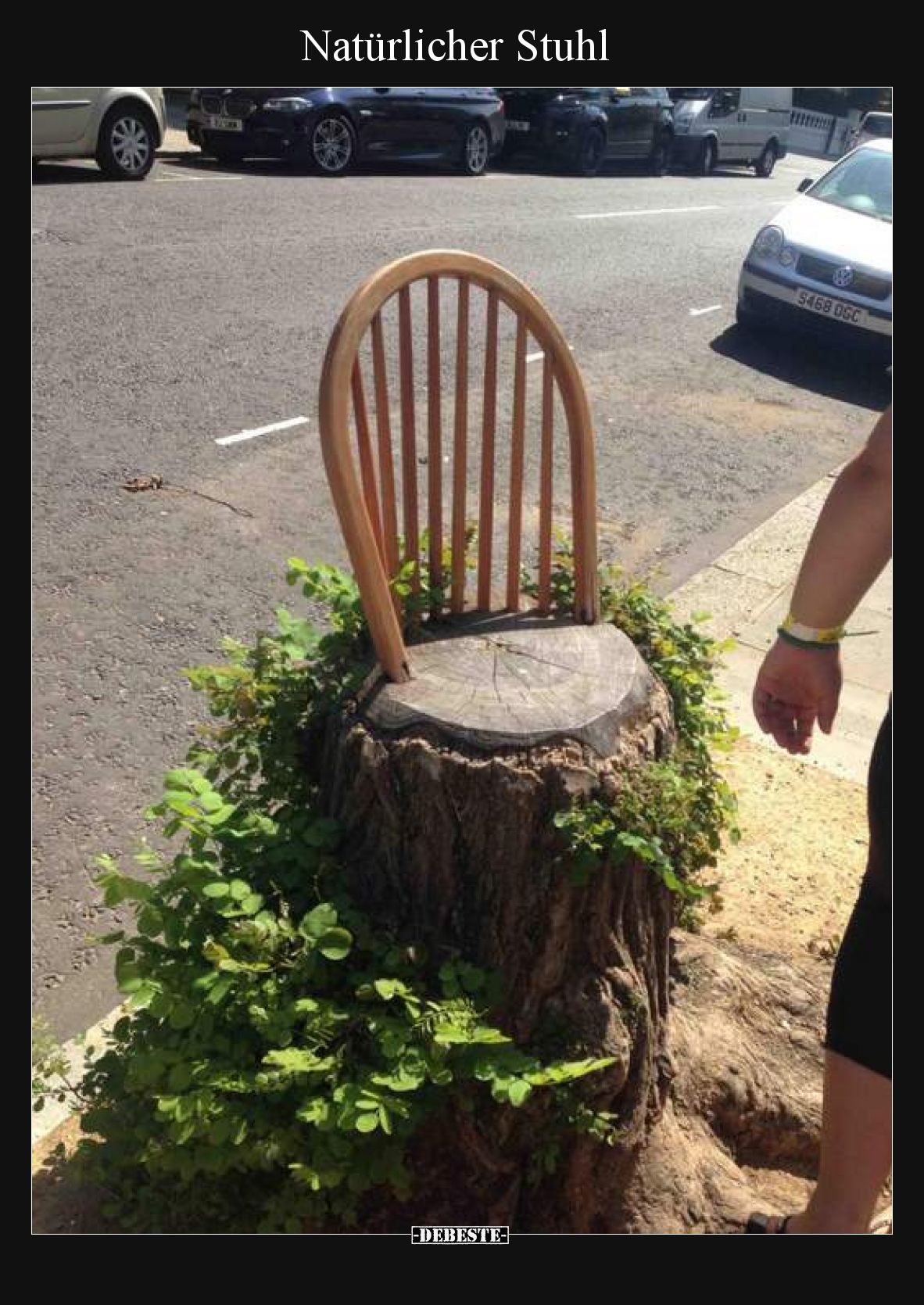 Natürlicher Stuhl