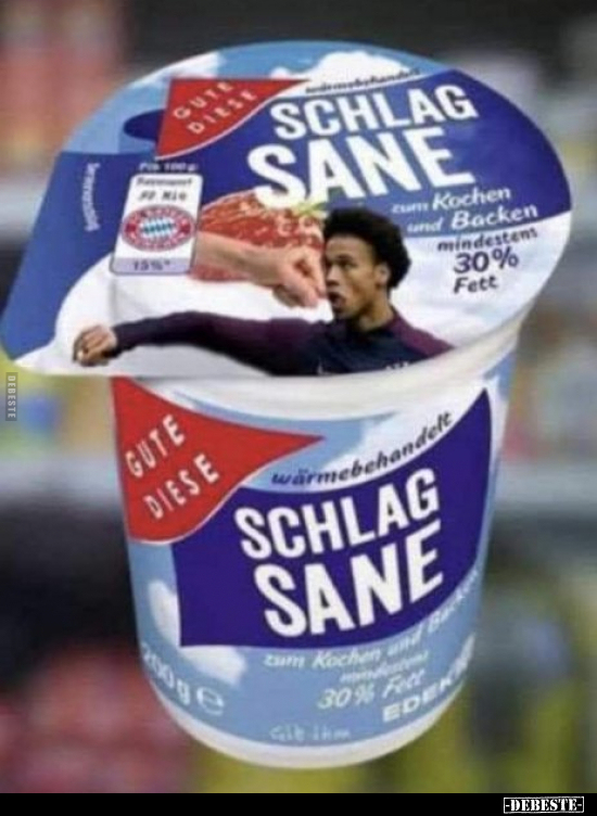 Schlag-sane