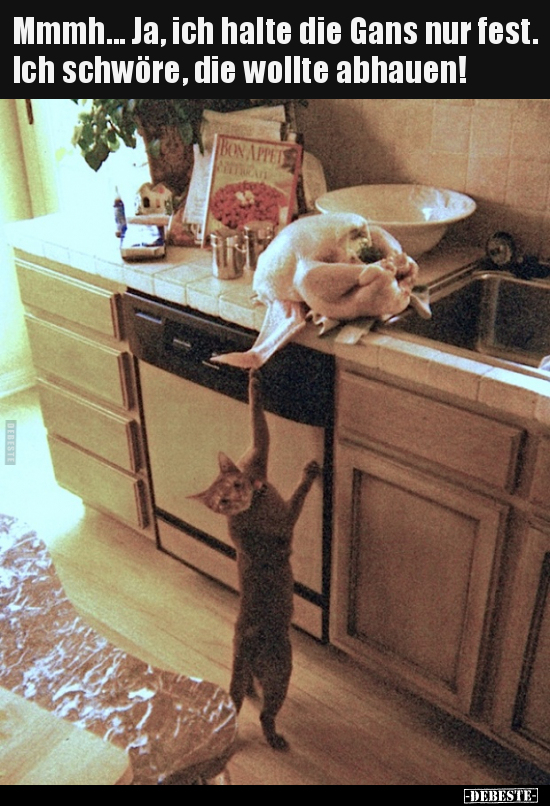 Mmmh... Ja, ich halte die Gans nur fest. Ich schwöre, die wollte abhauen!
