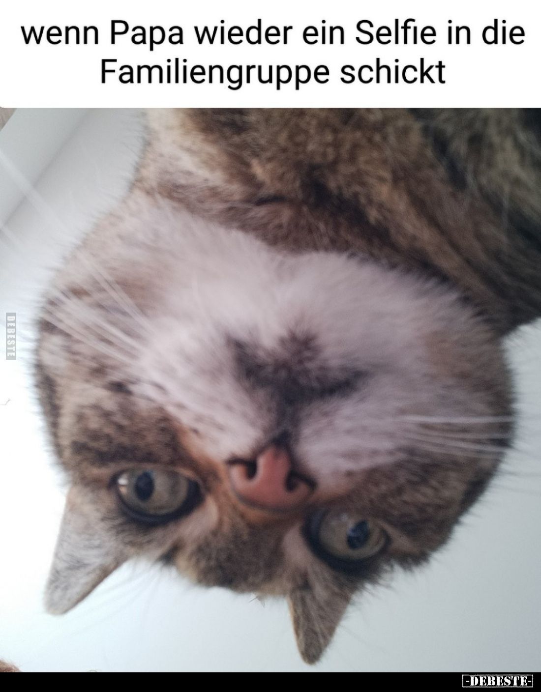 Wenn Papa wieder ein Selfie in die Familiengruppe schickt.