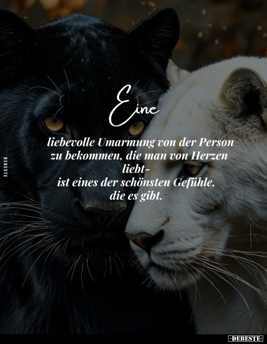 Eine
liebevolle Umarmung von der Person zu bekommen, die man von Herzen liebt-ist eines der schönsten Gefühle, die es gibt.