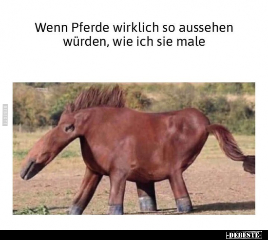 Wenn Pferde wirklich so aussehen würden, wie ich sie.. - Lustige Bilder | DEBESTE.de