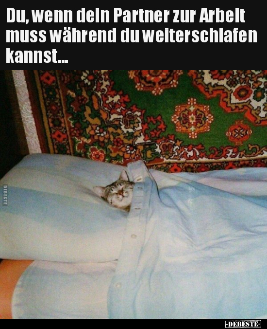 Du, wenn dein Partner zur Arbeit muss während du.. - Lustige Bilder | DEBESTE.de