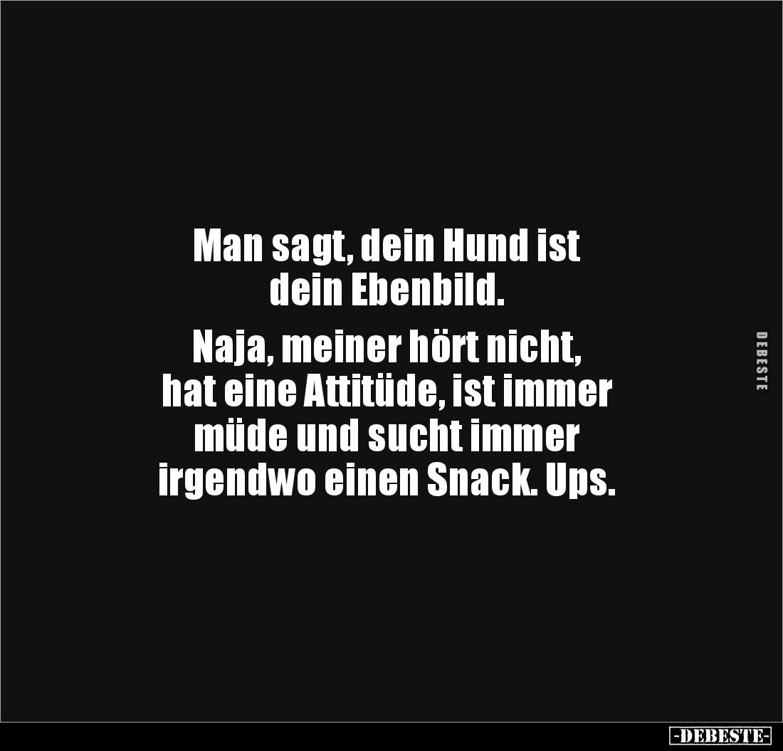 Man sagt, dein Hund ist
dein Ebenbild.
Naja, meiner hört nicht,
hat eine Attitüde, ist immer
müde und sucht immer
...