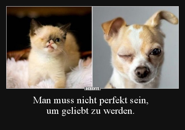 Man muss nicht perfekt sein, um geliebt zu werden...