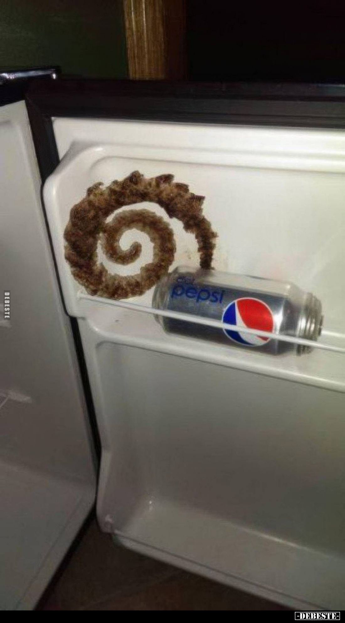  - Lustige Bilder | DEBESTE.de