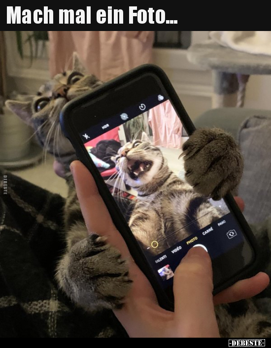 Mach mal ein Foto...