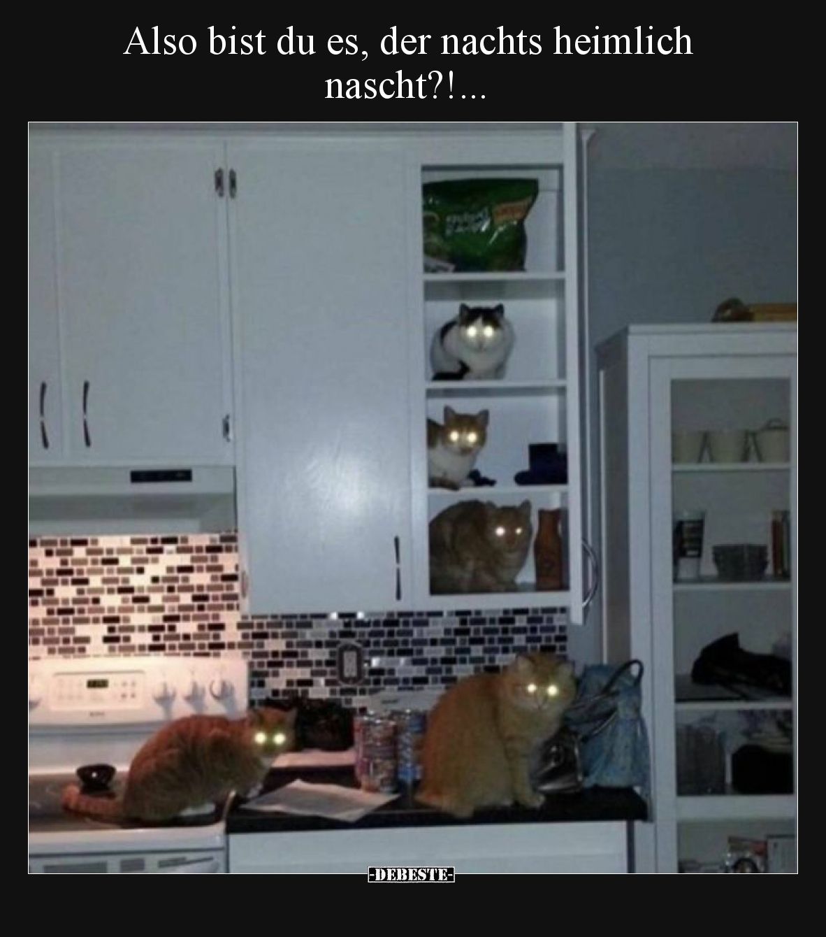 Also bist du es, der nachts heimlich nascht?!