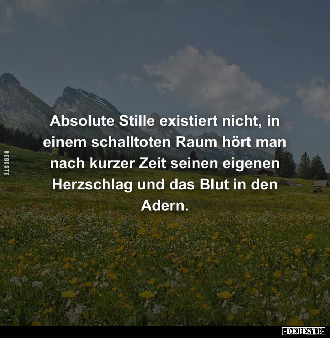 Absolute Stille existiert nicht, in einem schalltoten Raum hört man nach kurzer Zeit seinen eigenen Herzschlag und das Blut i...