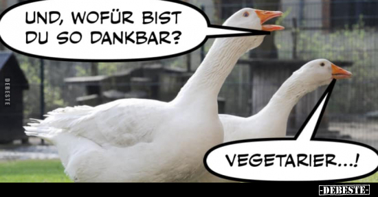 Und, wofür bist du so dankbar?