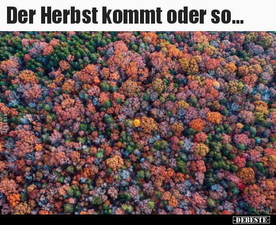 Der Herbst kommt oder so... - Lustige Bilder | DEBESTE.de