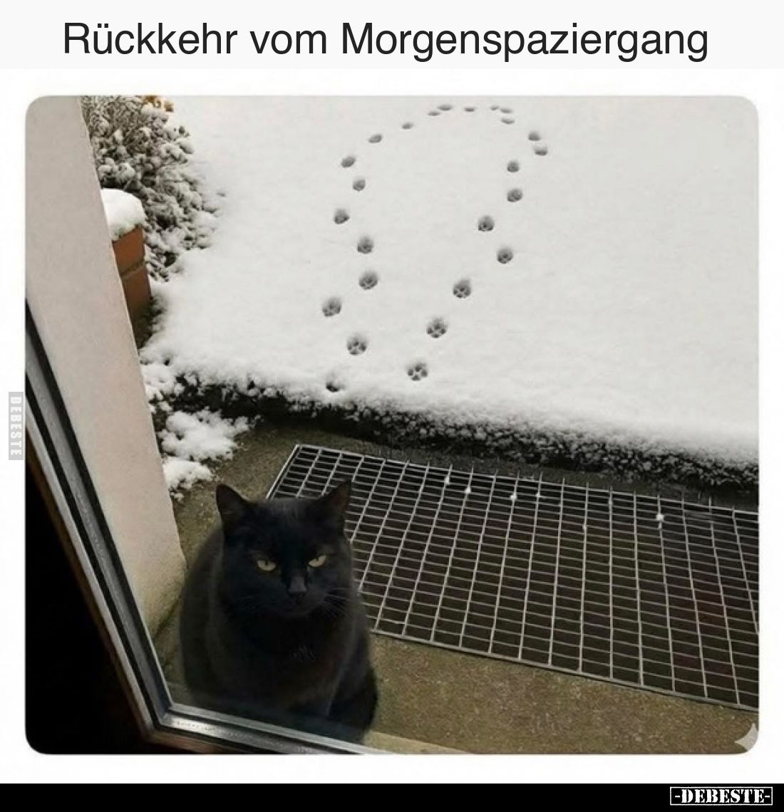 Rückkehr vom Morgenspaziergang