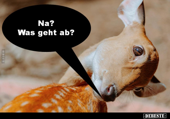 Na? Was geht ab?