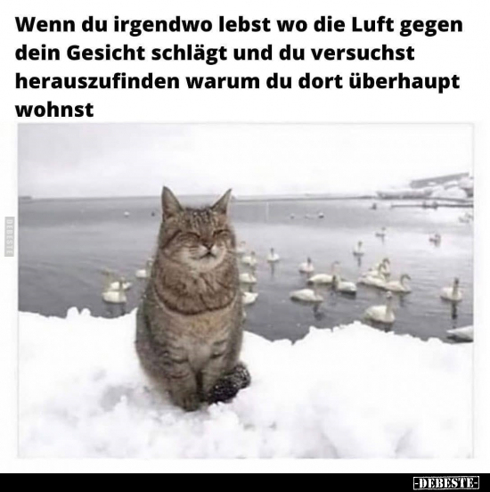 Wenn du irgendwo lebst wo die Luft gegen dein Gesicht..
