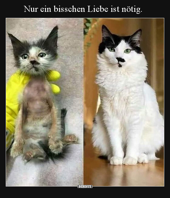 Nur ein bisschen Liebe ist nötig.