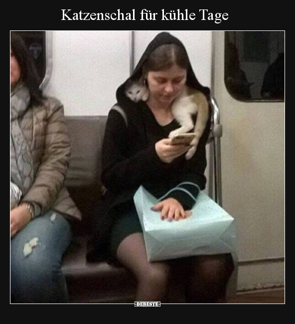 Katzenschal für kühle Tage.. - Lustige Bilder | DEBESTE.de