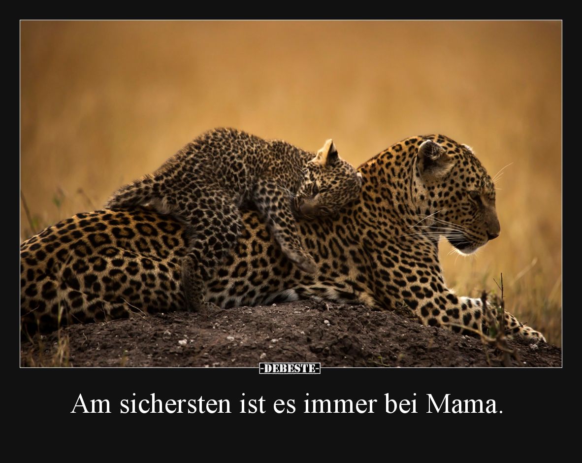 Am sichersten ist es immer bei Mama.