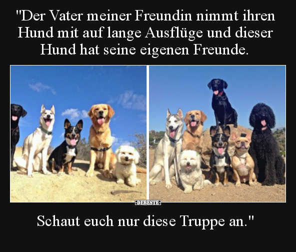 "Der Vater meiner Freundin nimmt ihren Hund mit auf lange.." - Lustige Bilder | DEBESTE.de