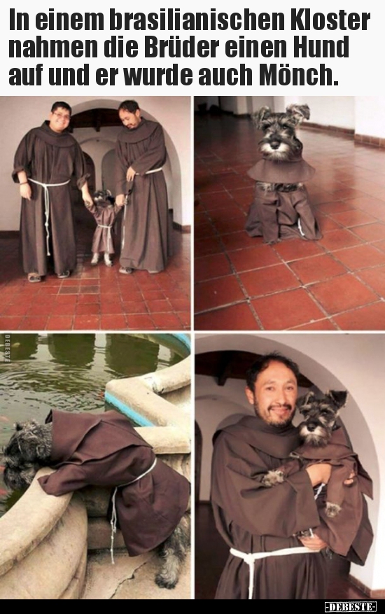In einem brasilianischen Kloster nahmen die Brüder einen.. - Lustige Bilder | DEBESTE.de