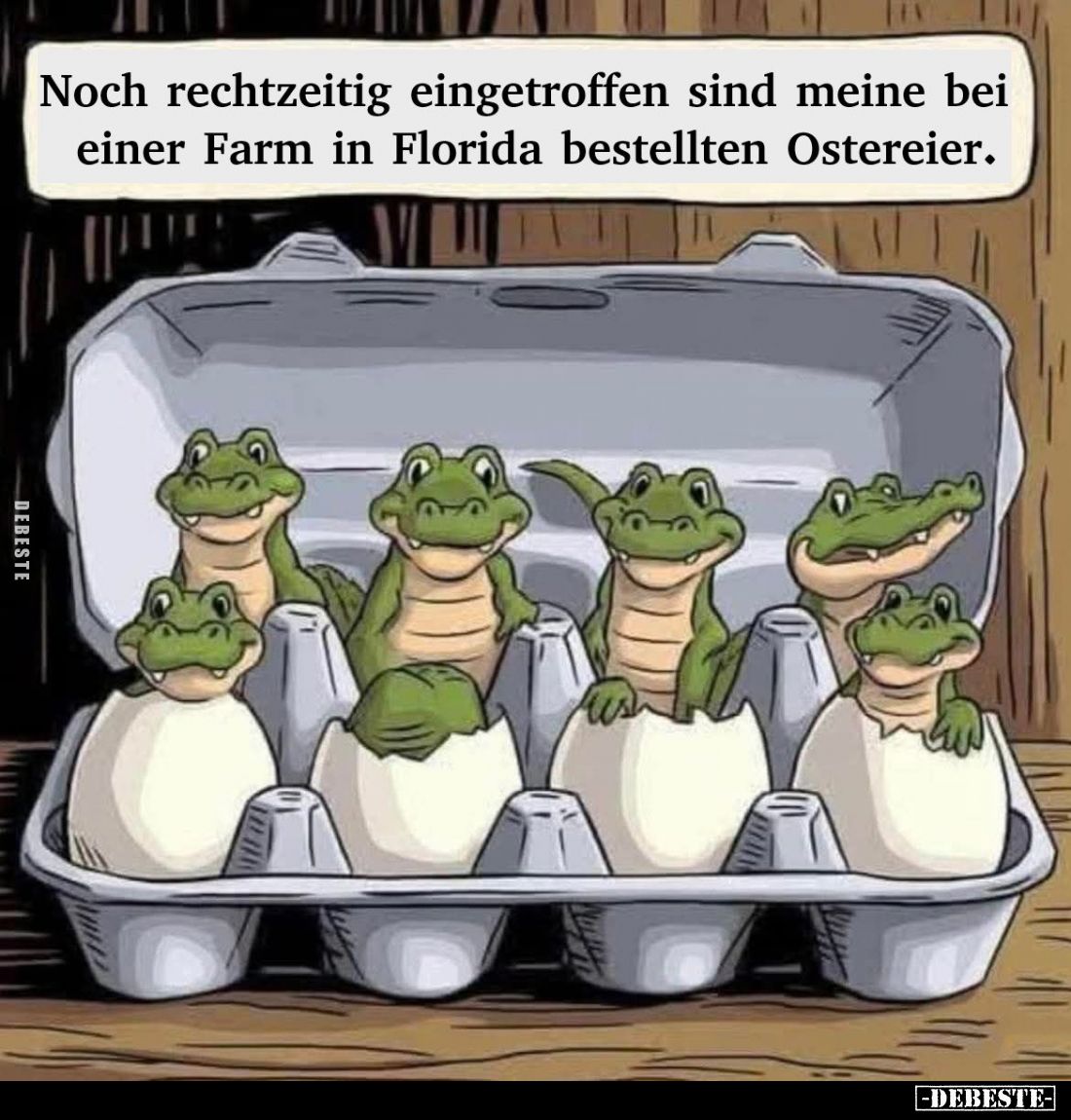 Noch rechtzeitig eingetroffen sind meine bei einer Farm in Florida bestellten Ostereier.