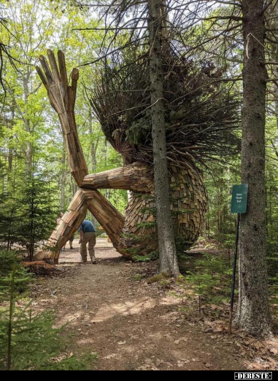  - Lustige Bilder | DEBESTE.de