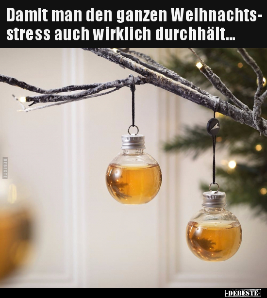 Damit man den ganzen Weihnachtsstress auch wirklich.. - Lustige Bilder | DEBESTE.de
