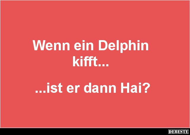 Wenn ein Delphin kifft... ist er dann Hai? - Lustige Bilder | DEBESTE.de