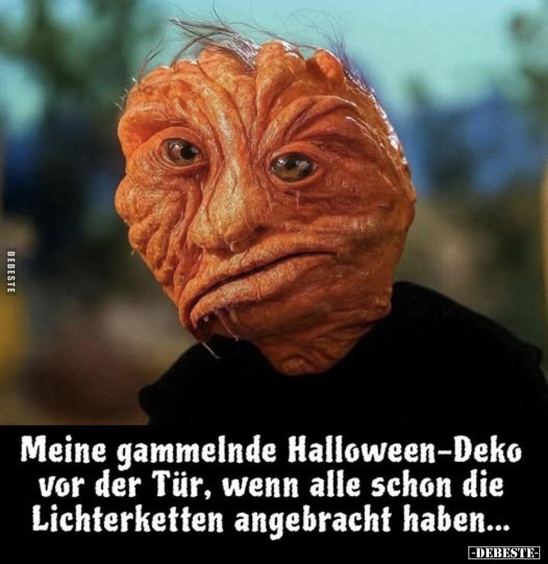Meine gammelnde Halloween-Deko vor der Tür, wenn alle schon die Lichterketten angebracht haben...