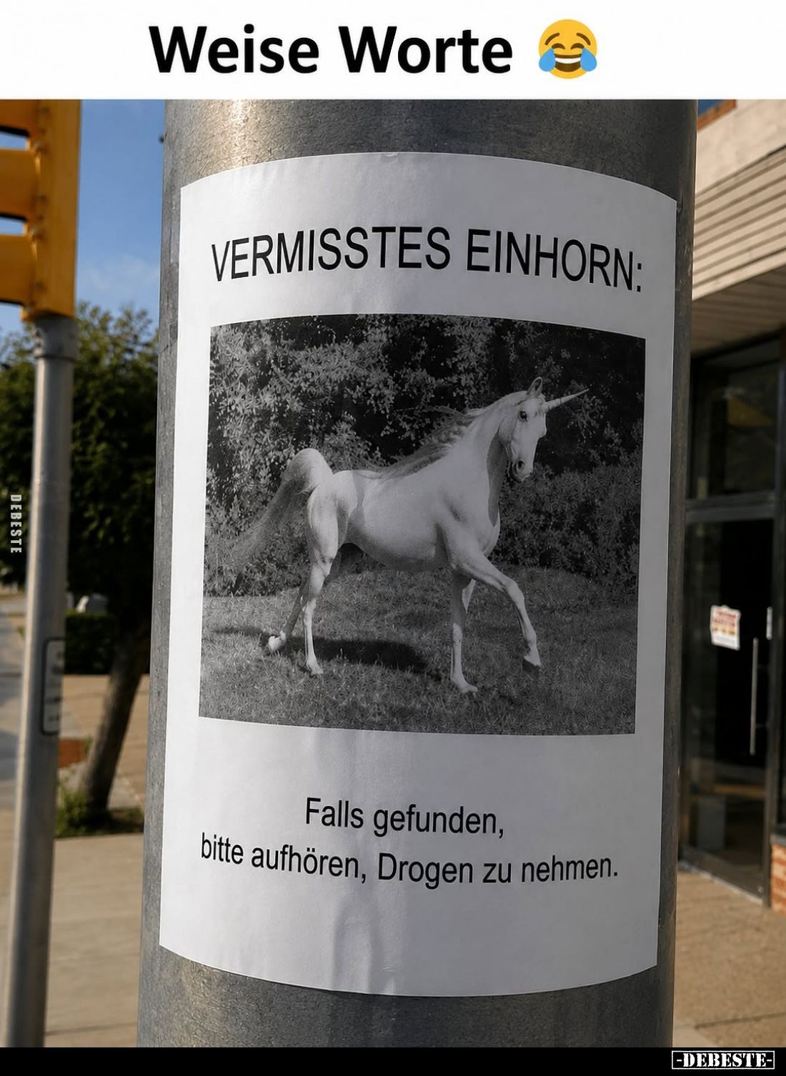 Weise Worte.
Vermisstes Einhorn:
Falls gefunden, bitte aufhören, Drogen zu nehmen.