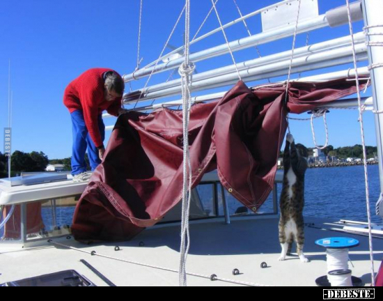  - Lustige Bilder | DEBESTE.de