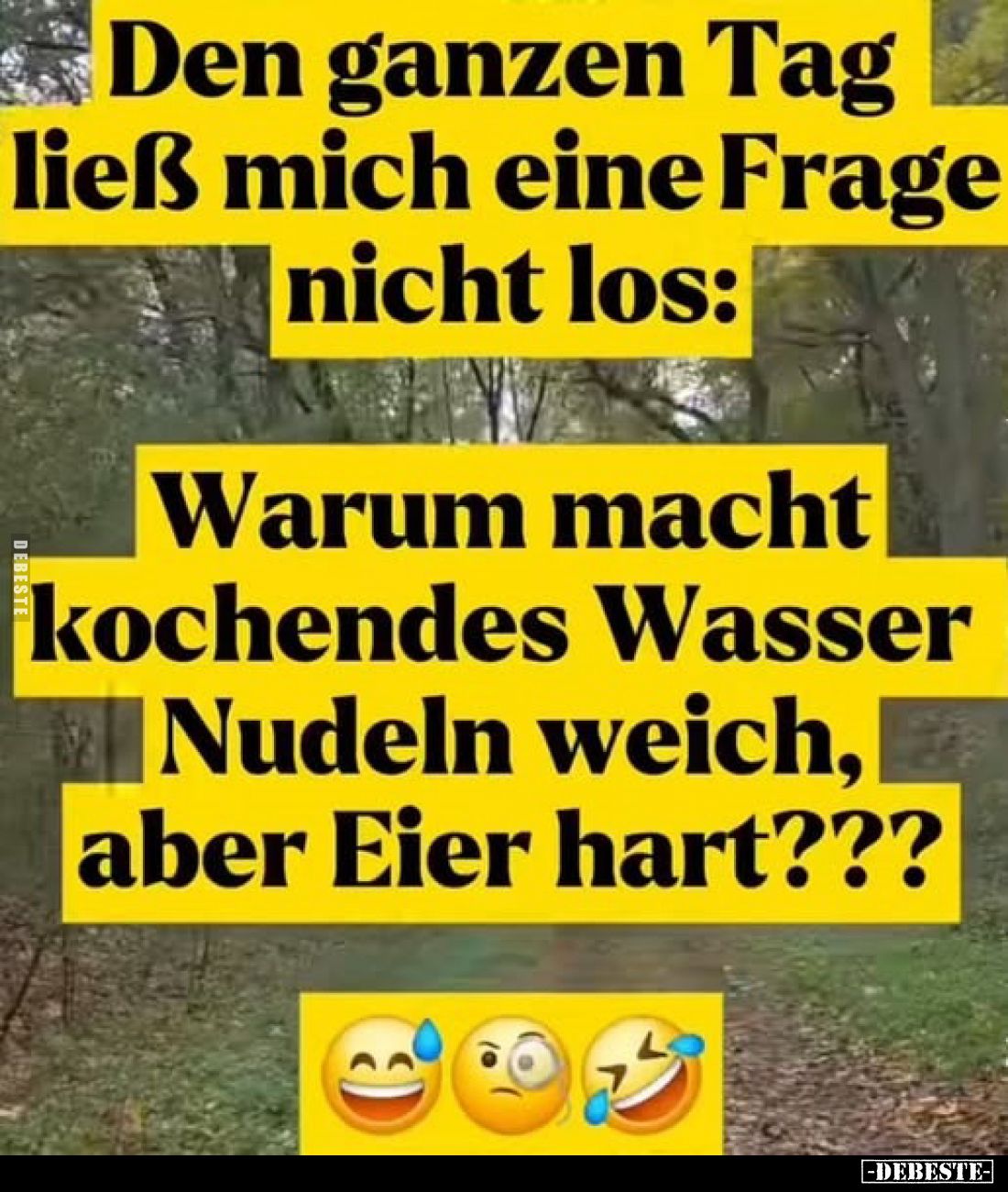 Den ganzen Tag ließ mich eine Frage nicht los:
Warum macht kochendes Wasser Nudeln weich, aber Eier hart???