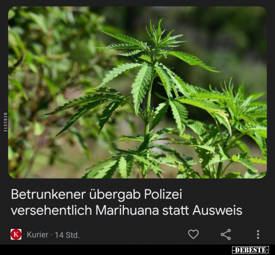 Betrunkener übergab Polizei versehentlich Marihuana statt... - Lustige Bilder | DEBESTE.de