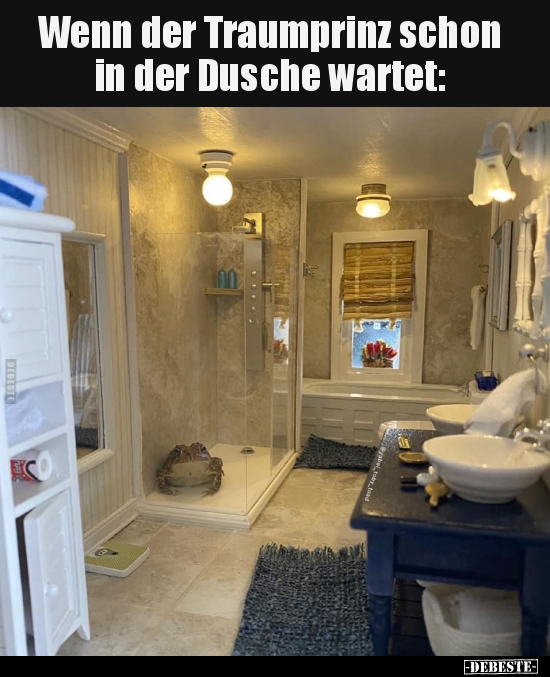 Wenn der Traumprinz schon in der Dusche wartet.. - Lustige Bilder | DEBESTE.de