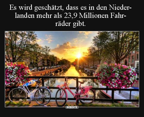Es wird geschätzt, dass es in den Niederlanden.. - Lustige Bilder | DEBESTE.de