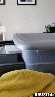 Jetzt siehst du mich, jetzt siehst du mich nicht..