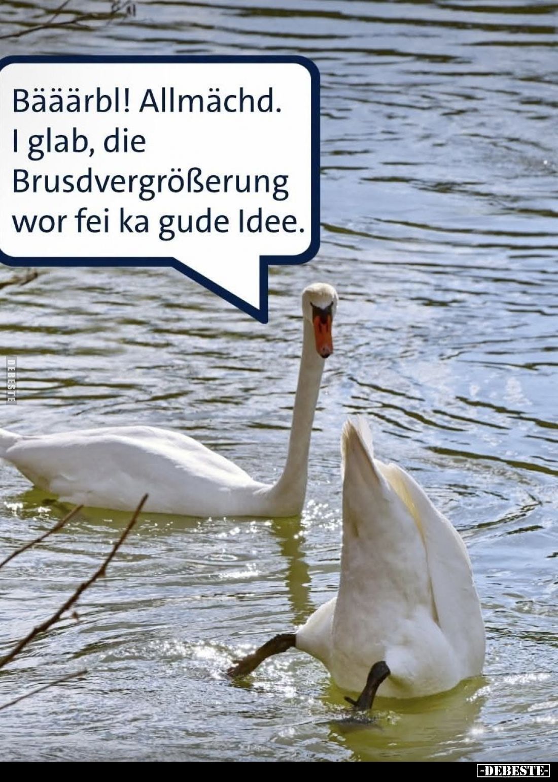Bääärbl! Allmächd. I glab, die Brusdvergrößerung wor fei ka gude Idee.
