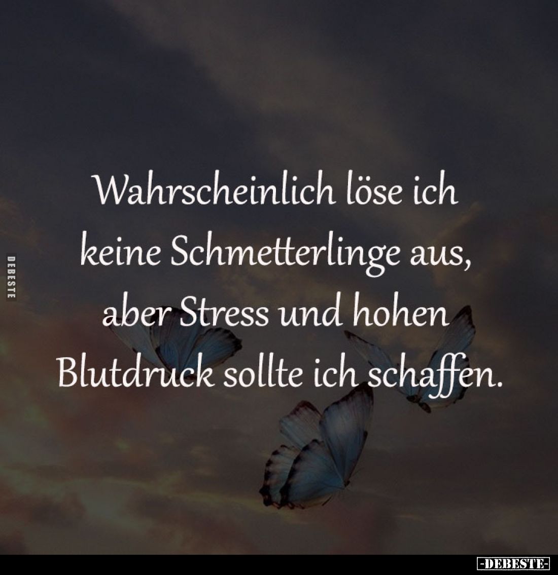 Wahrscheinlich löse ich 
keine Schmetterlinge aus, 
aber Stress und hohen Blutdruck
sollte ich schaffen.