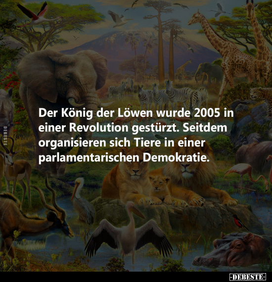 König, Löwen, Tiere