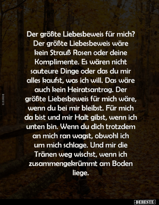 Der größte Liebesbeweis für mich?.. - Lustige Bilder | DEBESTE.de