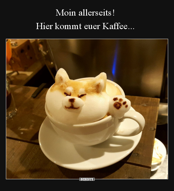 Moin allerseits! Hier kommt euer Kaffee... - Lustige Bilder | DEBESTE.de