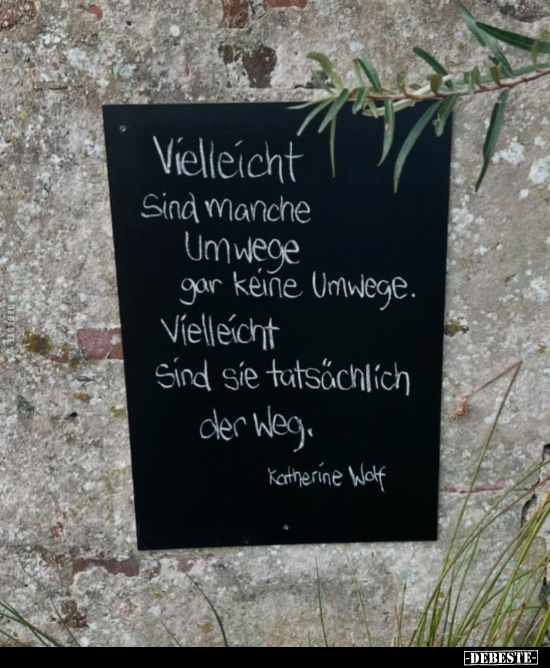 Vielleicht sind manche Umwege gar keine Umwege.. - Lustige Bilder | DEBESTE.de