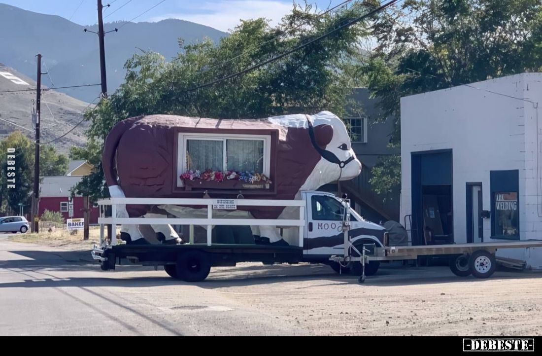  - Lustige Bilder | DEBESTE.de