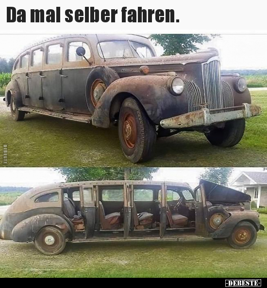 Da mal selber fahren... - Lustige Bilder | DEBESTE.de