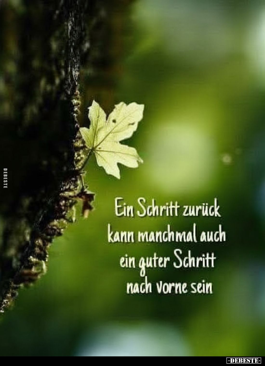 Ein Schritt zurück kann manchmal auch ein guter Schritt.. - Lustige Bilder | DEBESTE.de