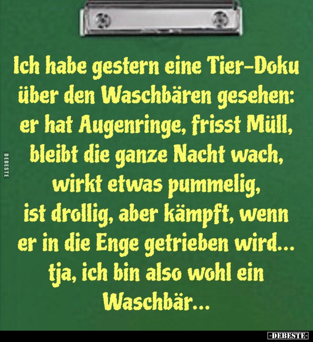 Ich habe gestern eine Tier-Doku über den Waschbären gesehen: er hat Augenringe, frisst Müll, bleibt die ganze Nacht wach, wir...