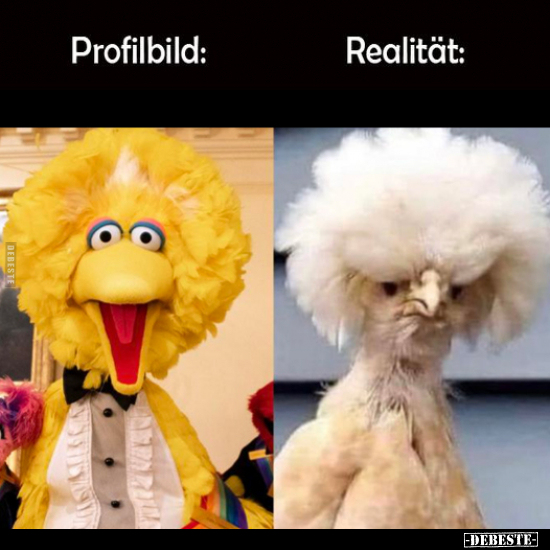 Profilbild: - Realität.. - Lustige Bilder | DEBESTE.de