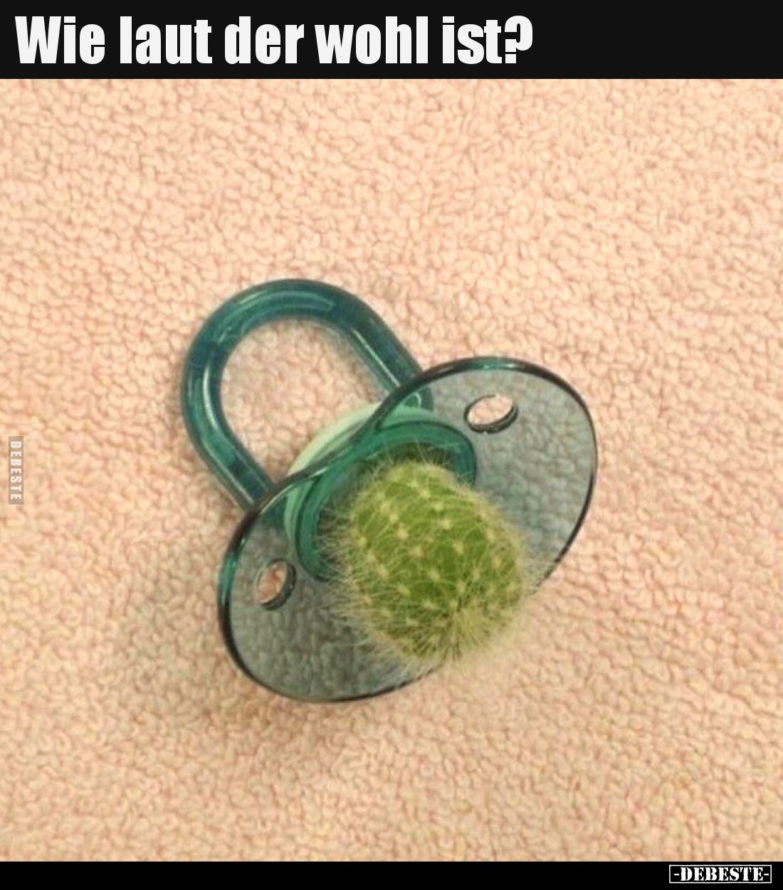 Wie laut der wohl ist?..