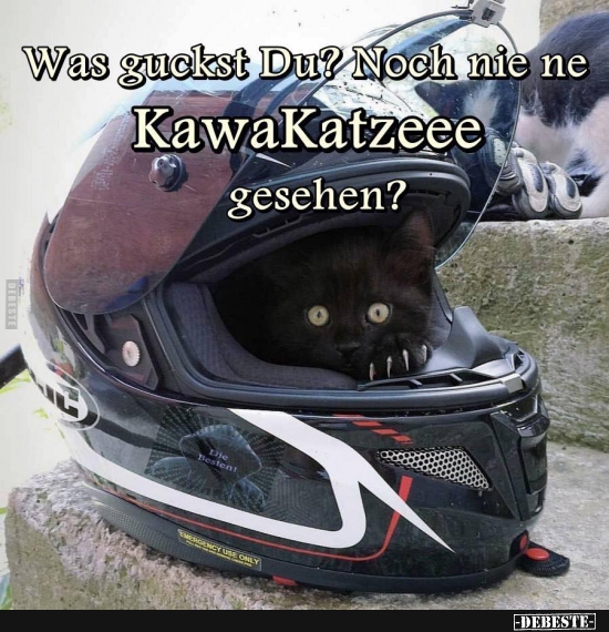Was guckst Du? Noch nie ne KawaKatzeee gesehen? - Lustige Bilder | DEBESTE.de