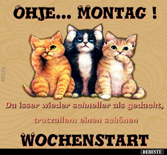 Ohje... Montag!.. - Lustige Bilder | DEBESTE.de